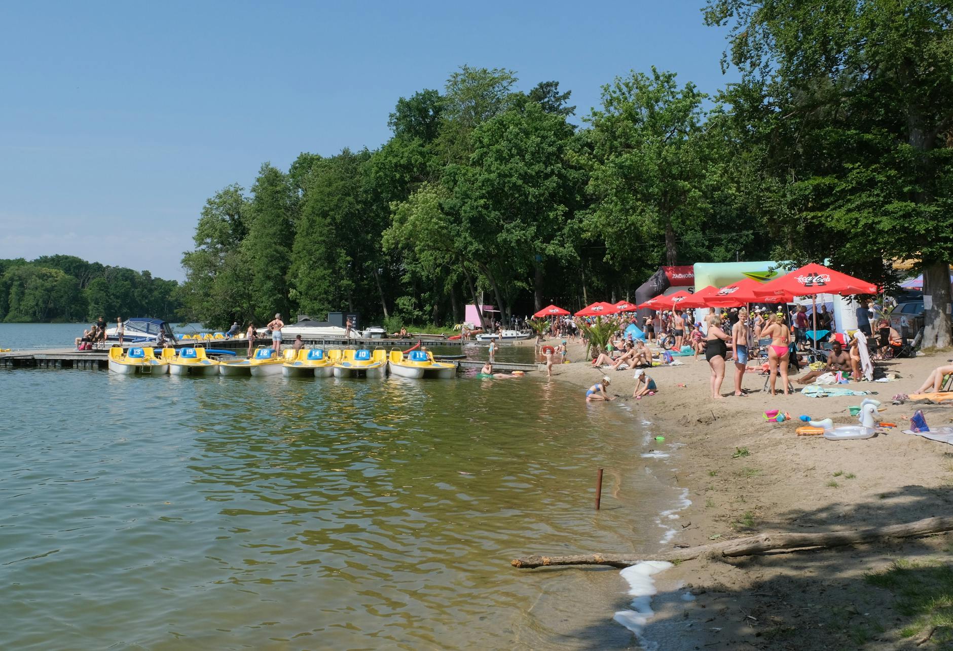 Malowniczy krajobraz w okolicach Aleksandrowa Kujawskiego podczas wiosennego dnia